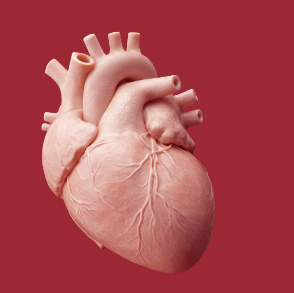 Beyond the Surface: Rethinking coatings as a strategic enabler in medical device innovation