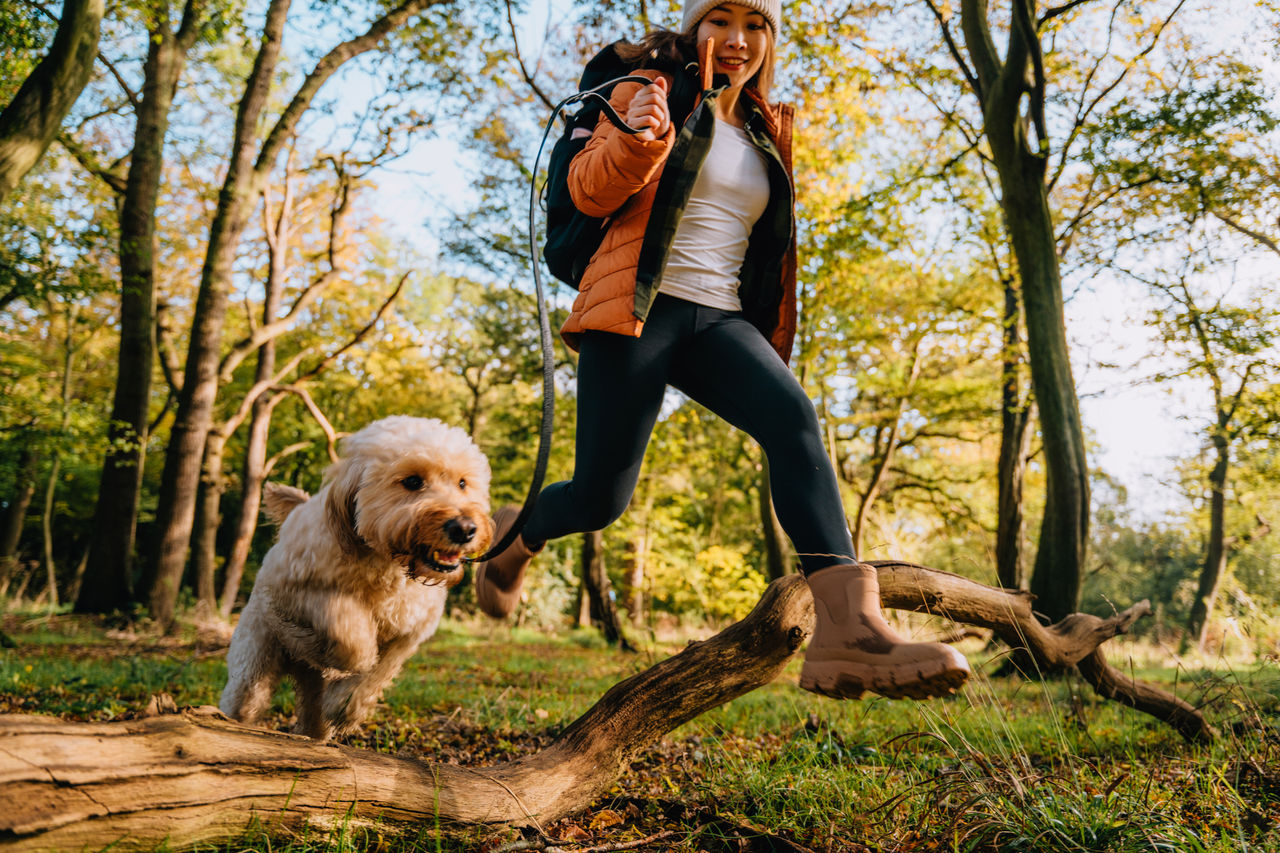 Why algal omega-3s for pets are key to proactive care