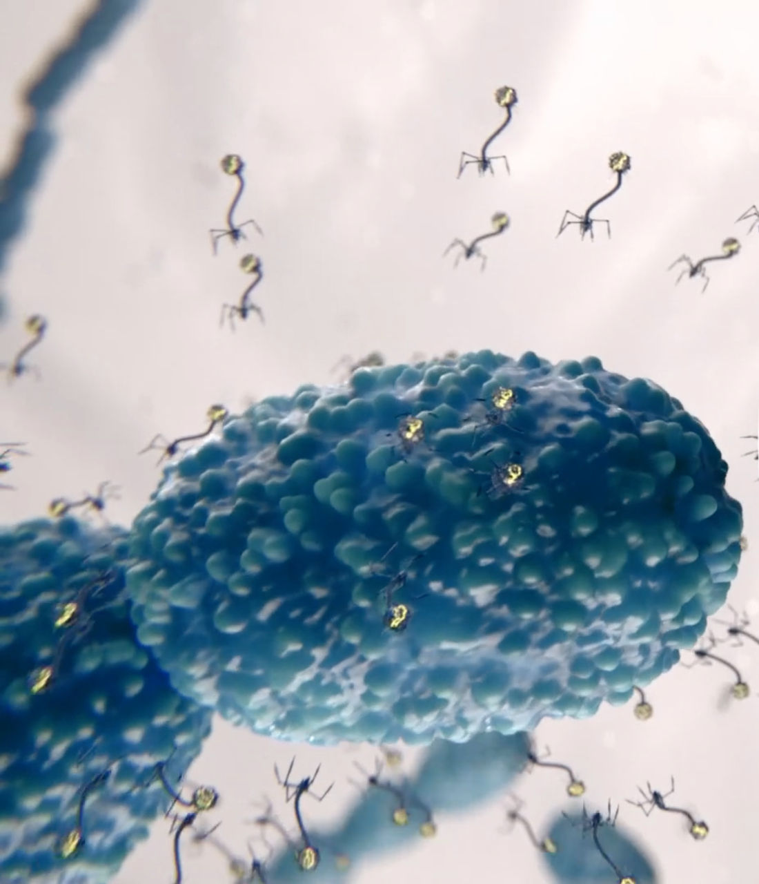 dsm-firmenich and APC Microbiome Ireland discover new bacterial defense systems for enhanced phage control in dairy fermentation